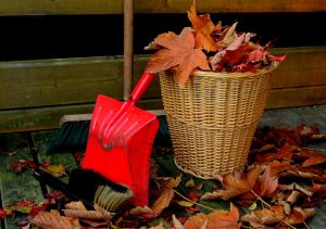 Getting Your House Ready for Fall