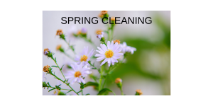 Spring Household Tasks Ideal for Concierge Providers